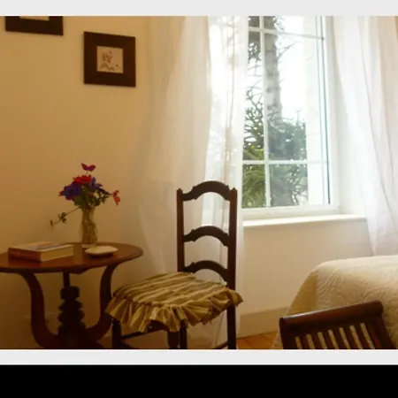 Pensionat Chateau Bily 2*